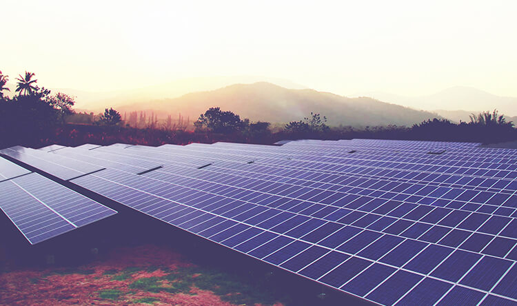 60 MWp Solar Power Project, Karnataka, India (Ampyr)