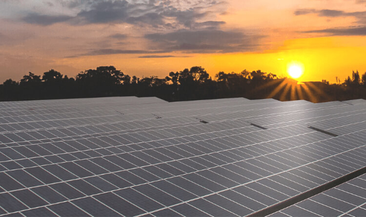 450 MWp SECI III Solar PV Project, Rajasthan, India