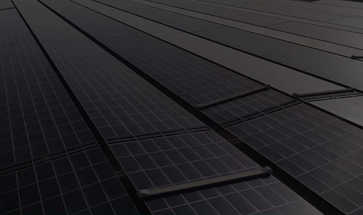 Solar Panel Maintenance