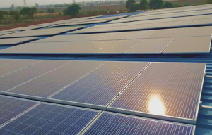910 kWp, Haryana, India